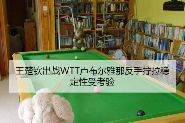 wang-chu-qin-chu-zhan-lu-bu-er-ya-na-fan-shou-ning-la-wen-ding-xing-shou-kao-yan-2-261.jpg